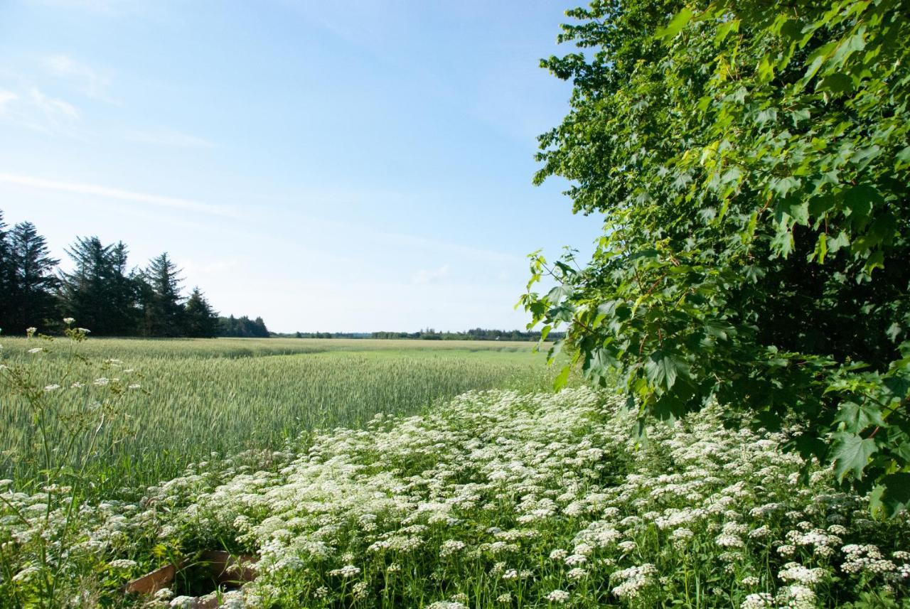Fuglsang Bed & Breakfast Hjorring Exterior photo